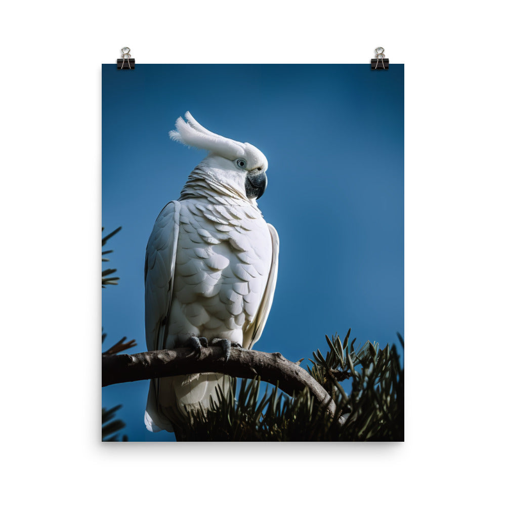 Snowy White Cockatoo Photo paper poster - PosterfyAI.com