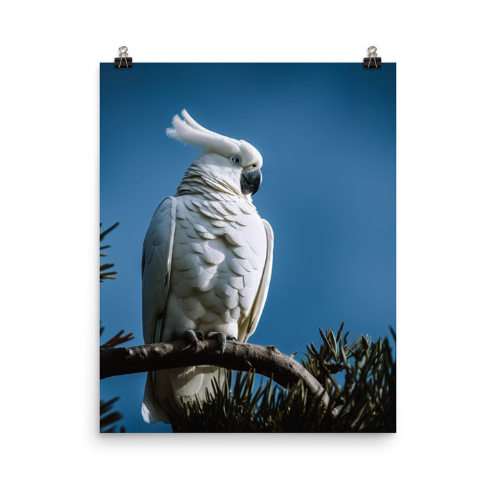 Snowy White Cockatoo Photo paper poster - PosterfyAI.com