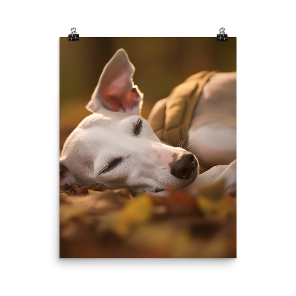 Whippet Beauty Sleep Photo paper poster - PosterfyAI.com