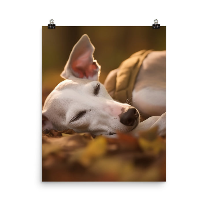 Whippet Beauty Sleep Photo paper poster - PosterfyAI.com