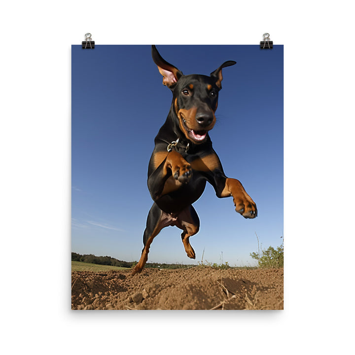 The playful side of a Doberman Pinscher Photo paper poster - PosterfyAI.com