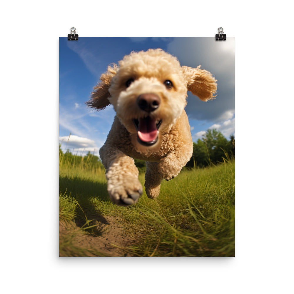 The Playful Poodle Photo paper poster - PosterfyAI.com