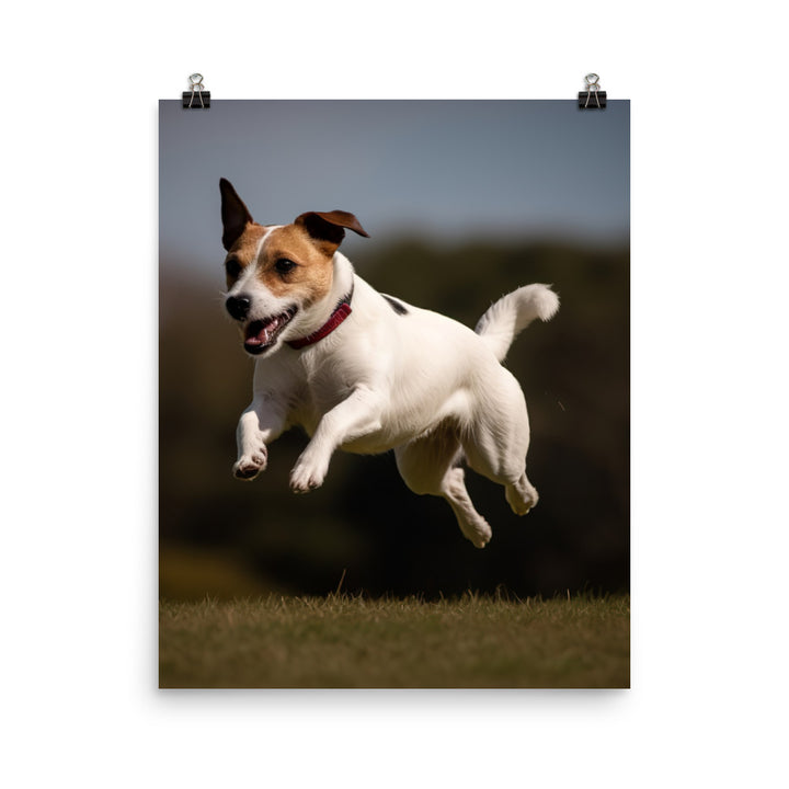 Spirited Jack Russell Terrier at Play Photo paper poster - PosterfyAI.com