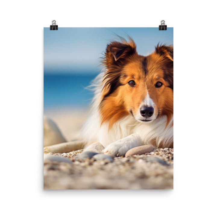 Shetland Sheepdog Relaxing on the Beach Photo paper poster - PosterfyAI.com
