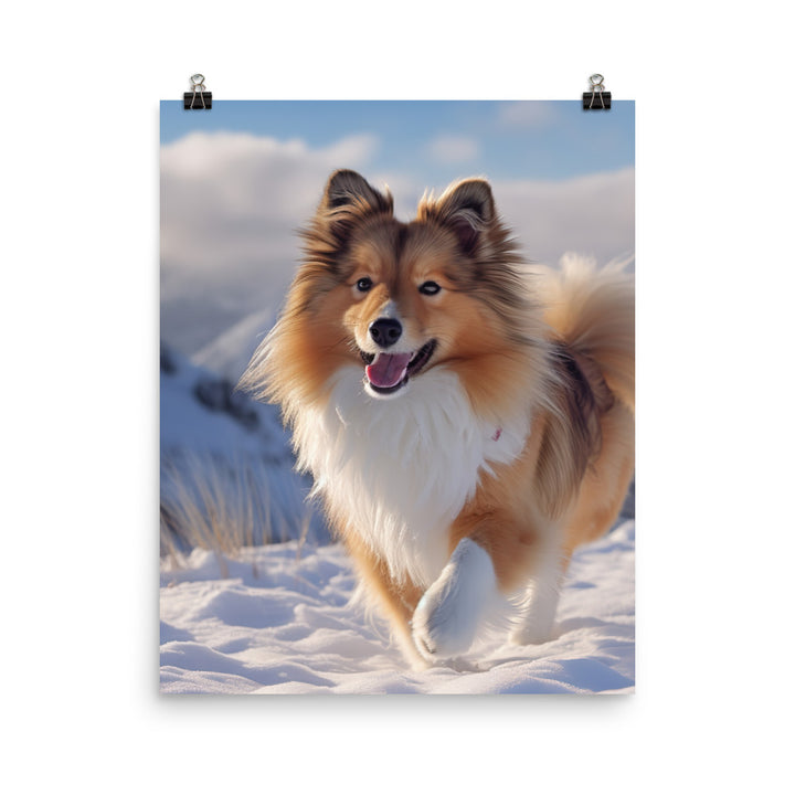 Shetland Sheepdog Playing in the Snow Photo paper poster - PosterfyAI.com
