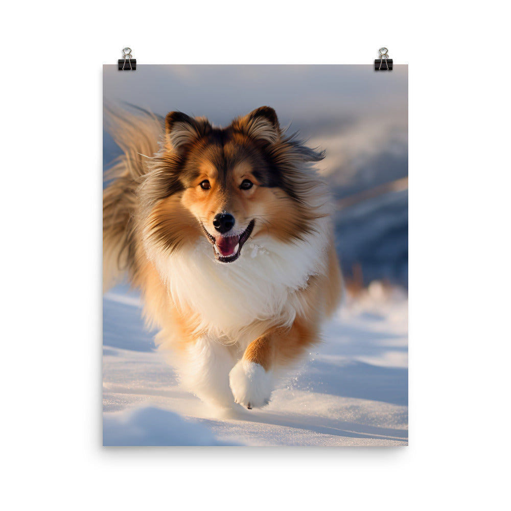 Shetland Sheepdog Playing in the Snow Photo paper poster - PosterfyAI.com