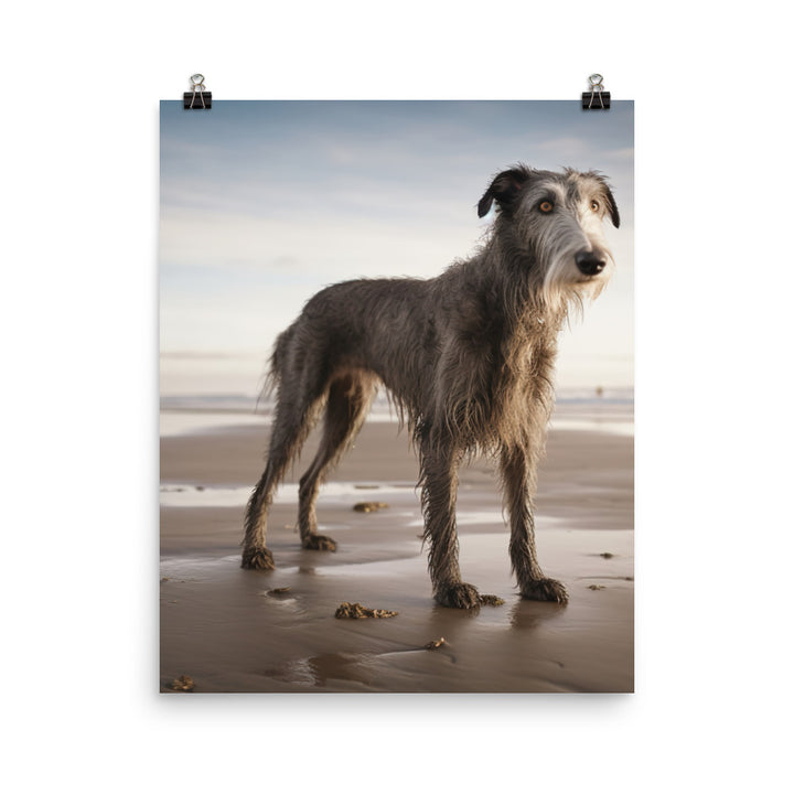 Scottish Deerhound on the Beach Photo paper poster - PosterfyAI.com