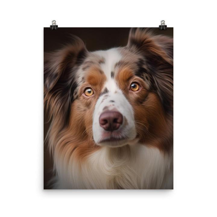 Australian Shepherd Photo paper poster - PosterfyAI.com