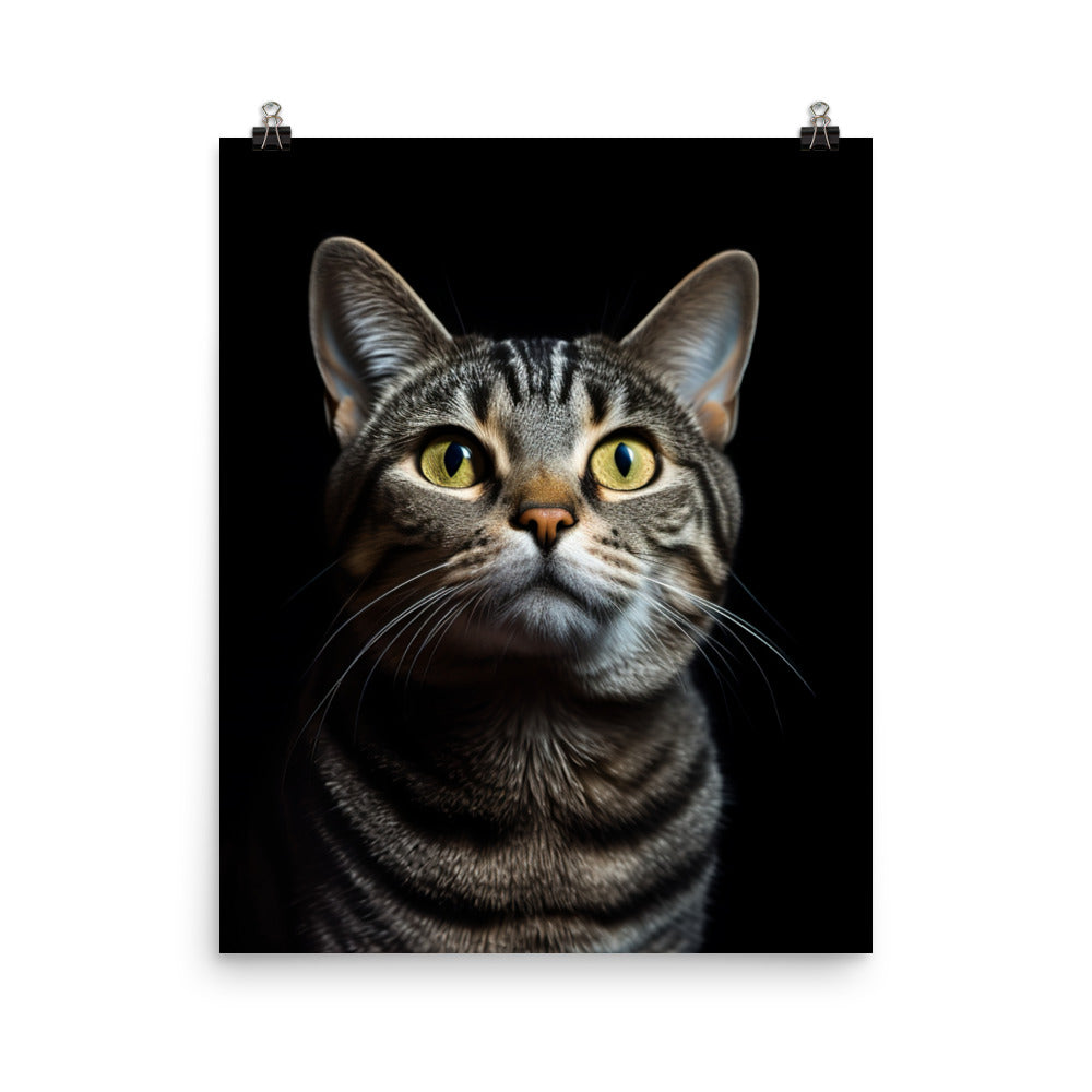 American Shorthair Cat Photo paper poster - PosterfyAI.com