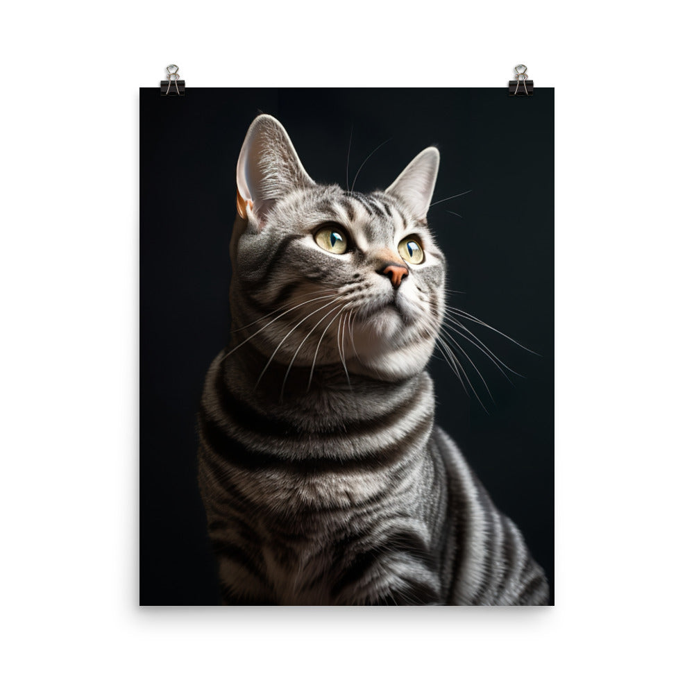 American Shorthair Cat Photo paper poster - PosterfyAI.com