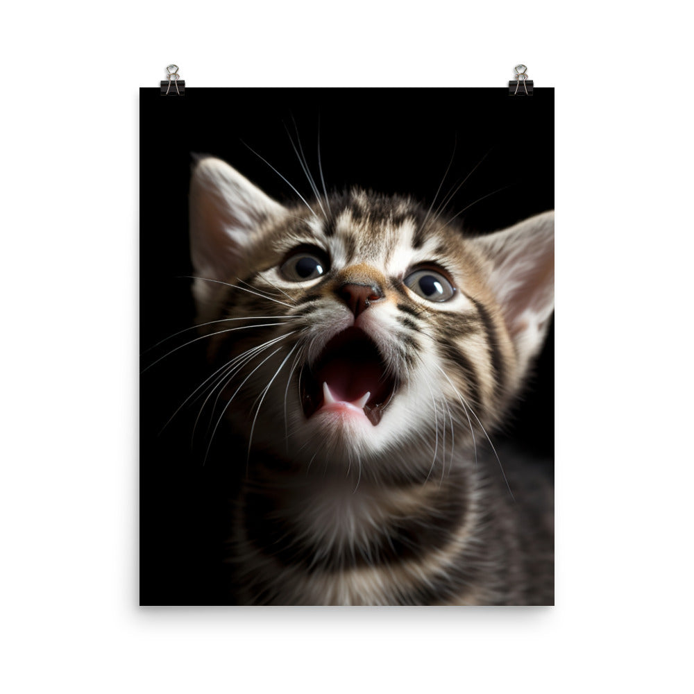 American Shorthair Cat Photo paper poster - PosterfyAI.com