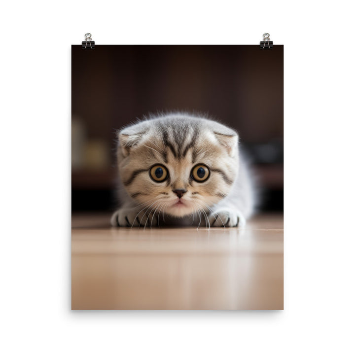 Scottish Fold Kitten Photo paper poster - PosterfyAI.com