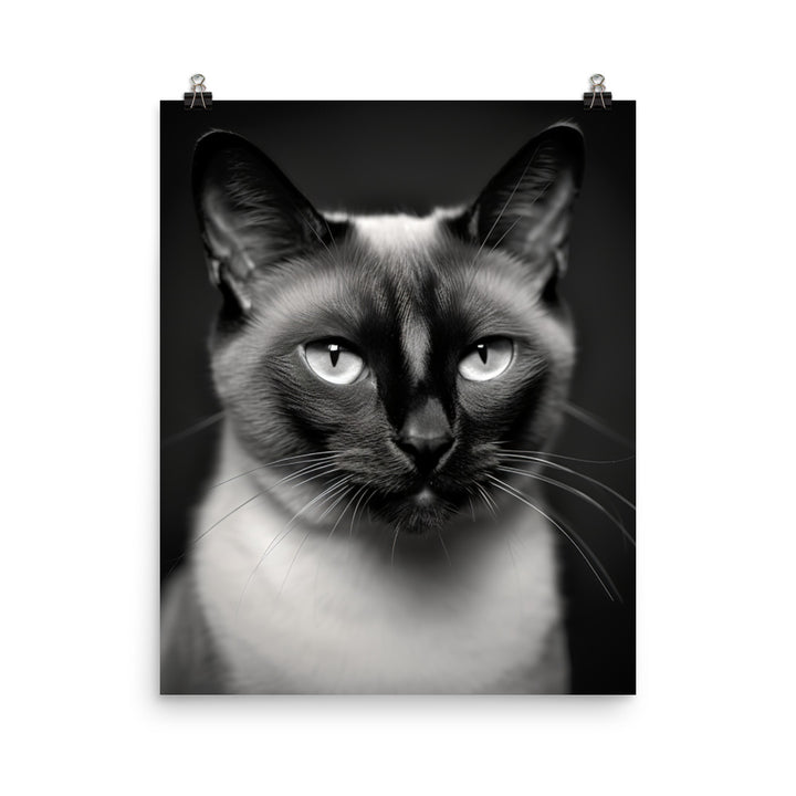 Siamese Charm in Black and White Photo paper poster - PosterfyAI.com