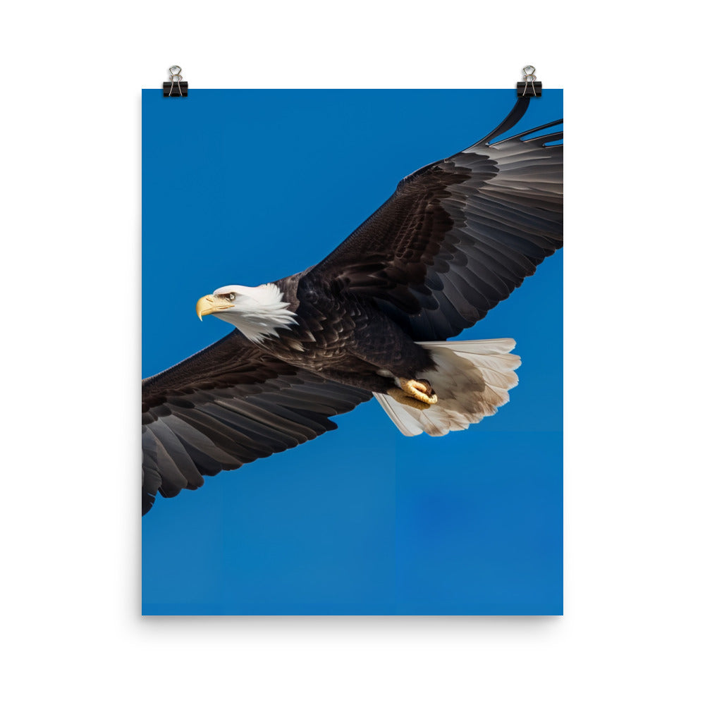 Beautiful Bald Eagle in Flight Against the Blue Sky Photo paper poster - PosterfyAI.com