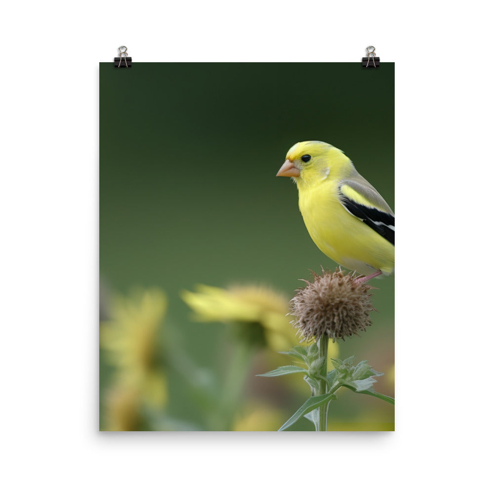 American Goldfinch in the Garden Photo paper poster - PosterfyAI.com