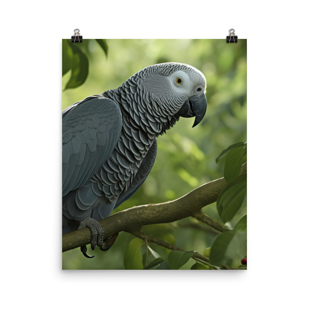 African Grey Parrot in Natural Habitat Photo paper poster - PosterfyAI.com