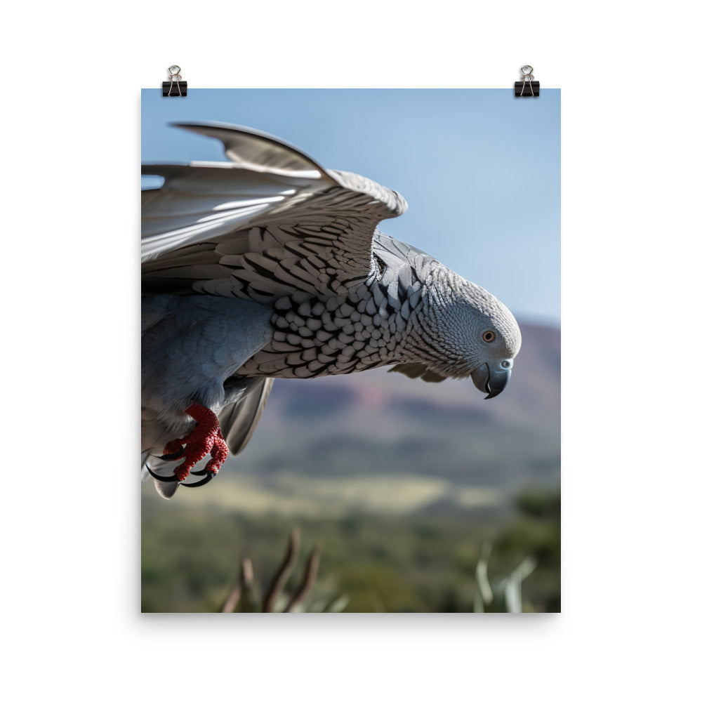African Grey Parrot in Flight Photo paper poster - PosterfyAI.com