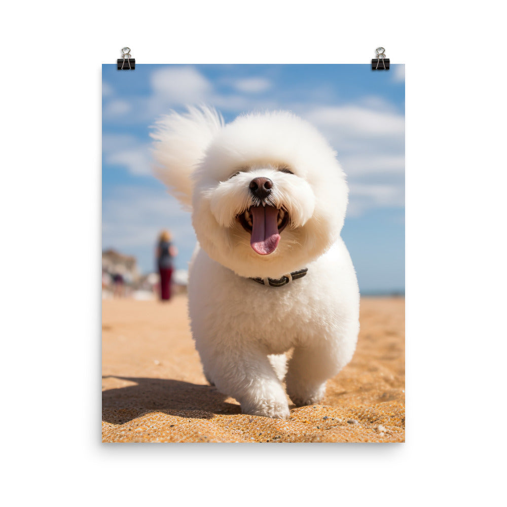 Bichon Frise on a Beach Photo paper poster - PosterfyAI.com