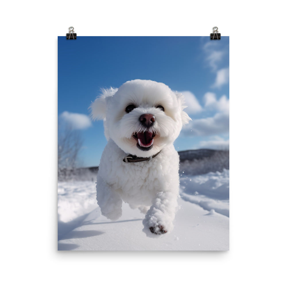 Bichon Frise in the Snow Photo paper poster - PosterfyAI.com