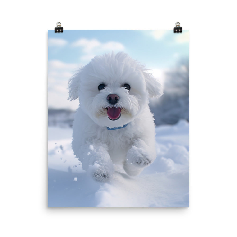 Bichon Frise in the Snow Photo paper poster - PosterfyAI.com