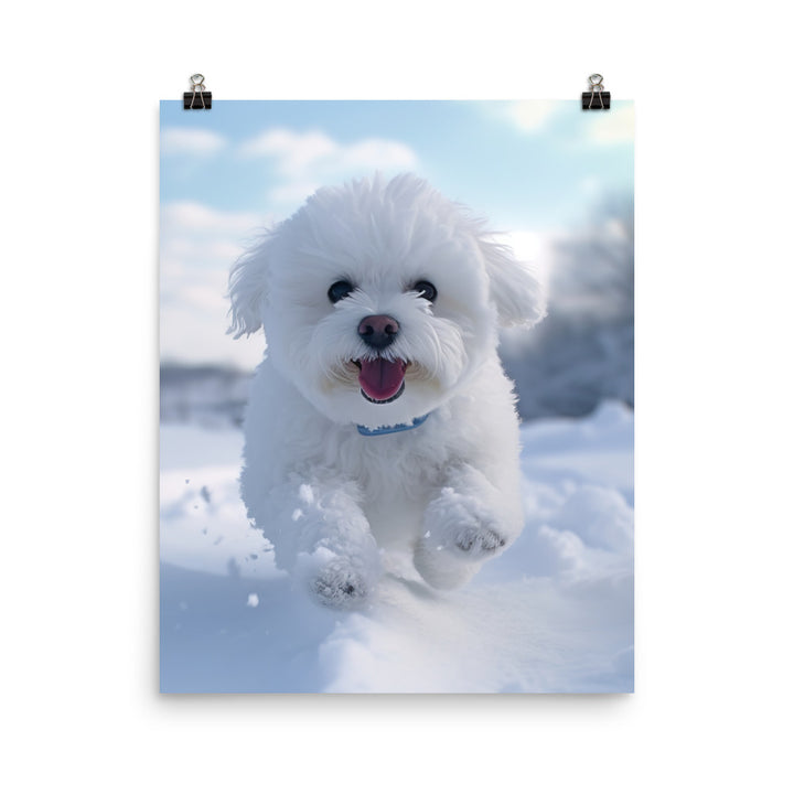 Bichon Frise in the Snow Photo paper poster - PosterfyAI.com