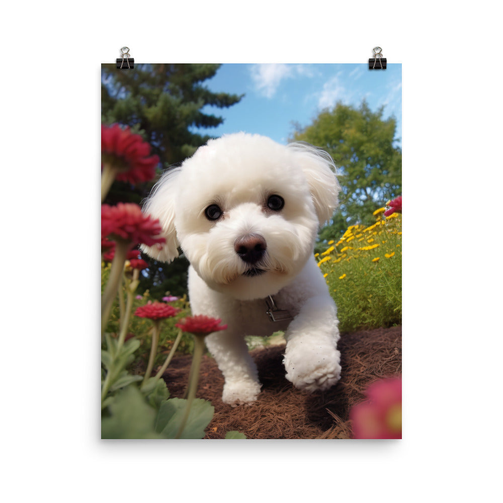 Bichon Frise in a Garden Photo paper poster - PosterfyAI.com