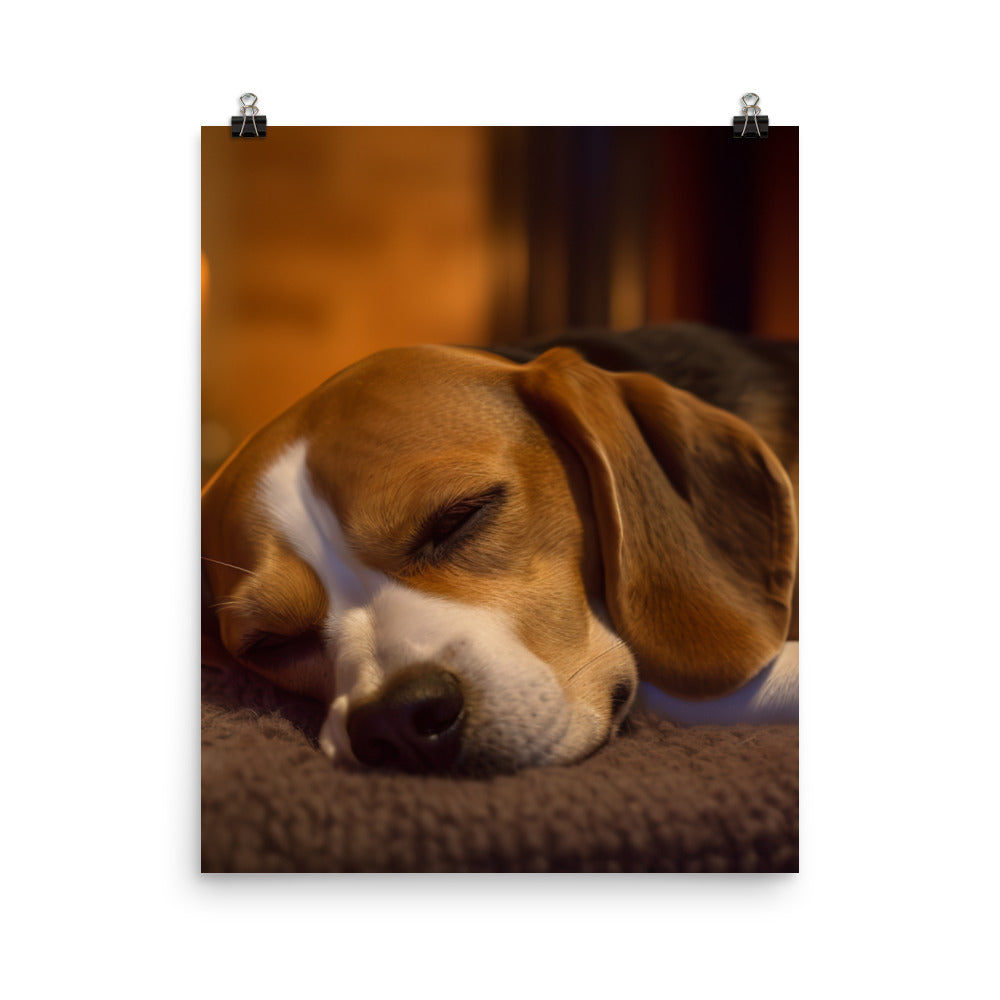 Beagle in repose Photo paper poster - PosterfyAI.com