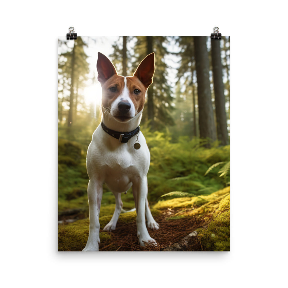 Basenji in Nature Photo paper poster - PosterfyAI.com