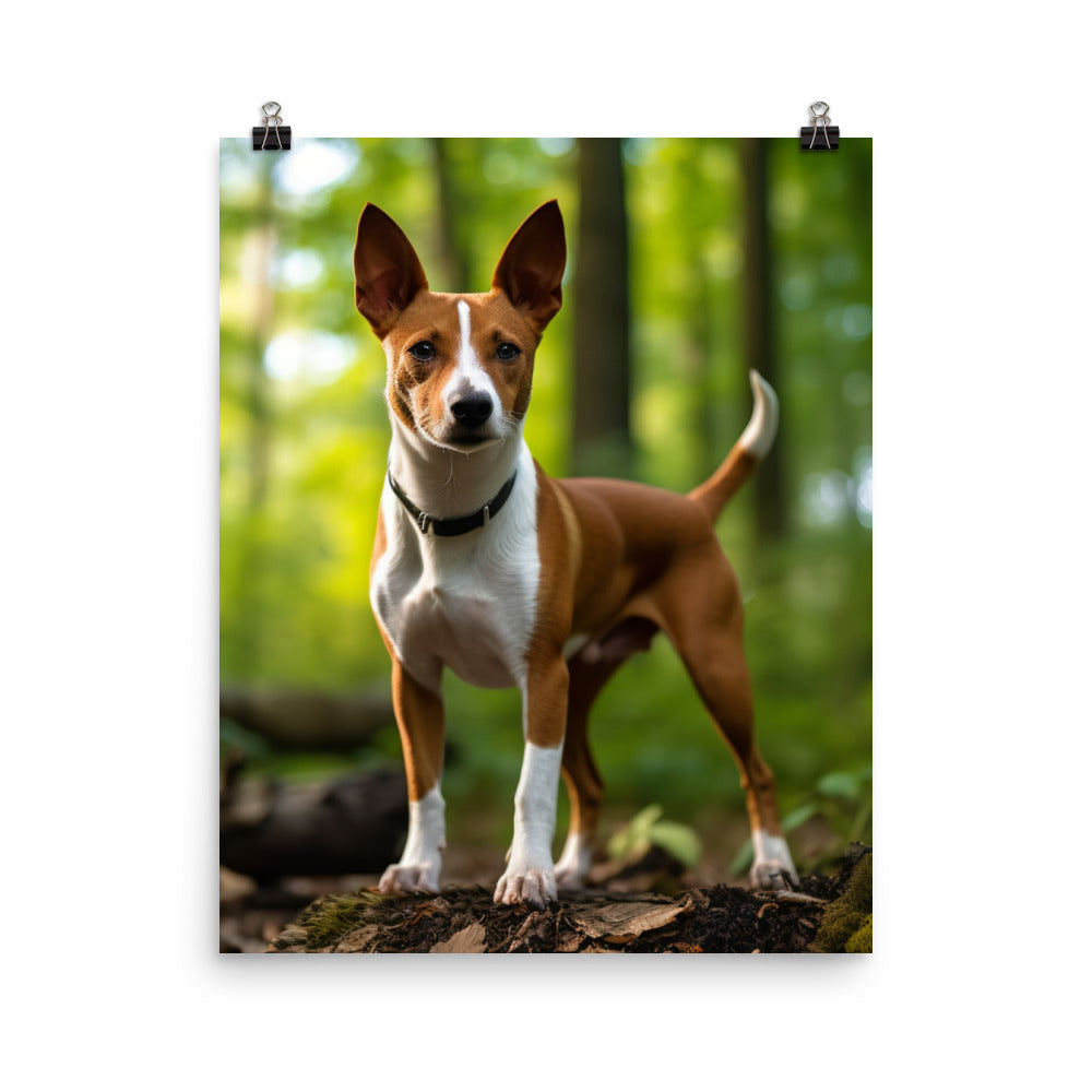 Basenji in Nature Photo paper poster - PosterfyAI.com
