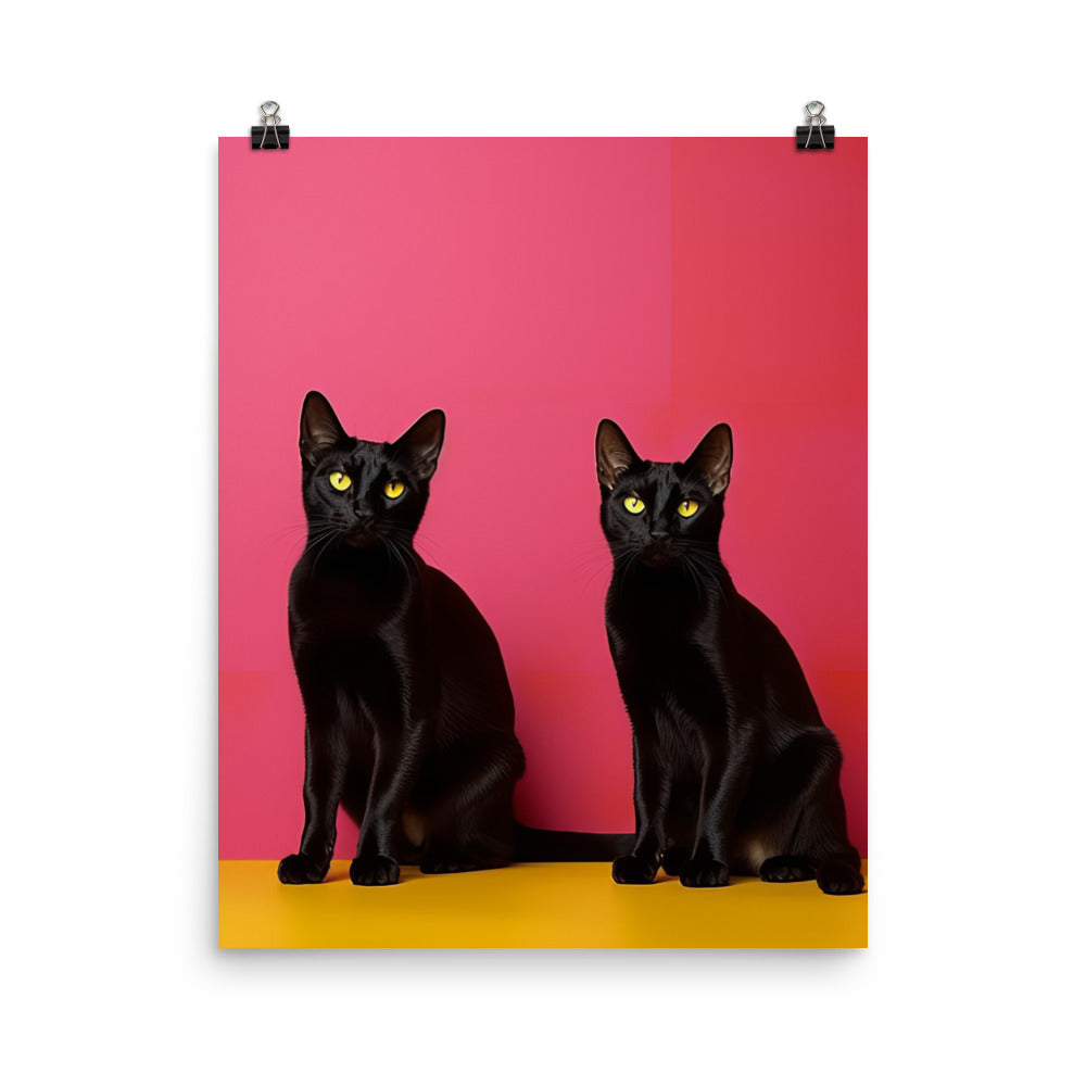 Striking Contrast of Bombay Cat Photo paper poster - PosterfyAI.com
