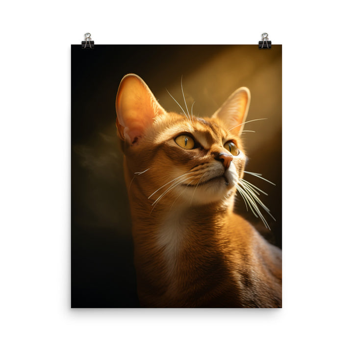 Abyssinian Cat Photo paper poster - PosterfyAI.com