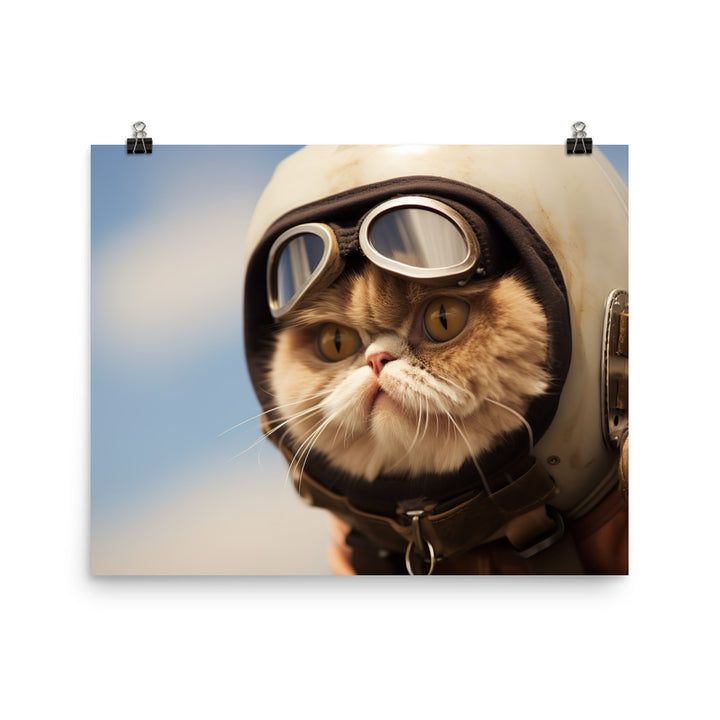 Exotic Shorthair Pilot Photo paper poster - PosterfyAI.com