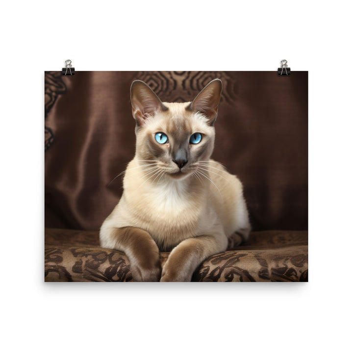 Tonkinese Photo paper poster - PosterfyAI.com