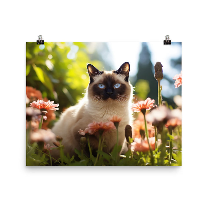 Siamese Photo paper poster - PosterfyAI.com