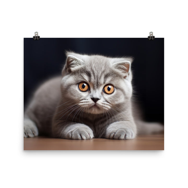 Scottish Fold Photo paper poster - PosterfyAI.com