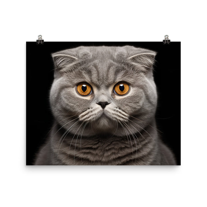 Scottish Fold Photo paper poster - PosterfyAI.com