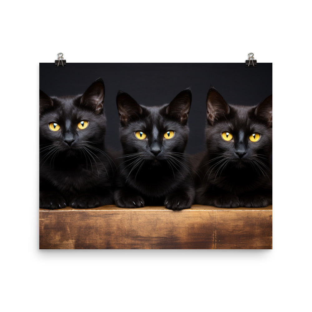 Bombay Photo paper poster - PosterfyAI.com