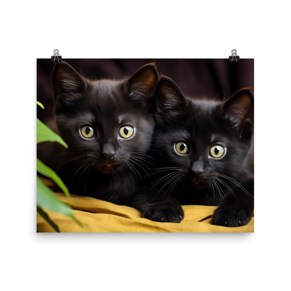 Bombay Photo paper poster - PosterfyAI.com