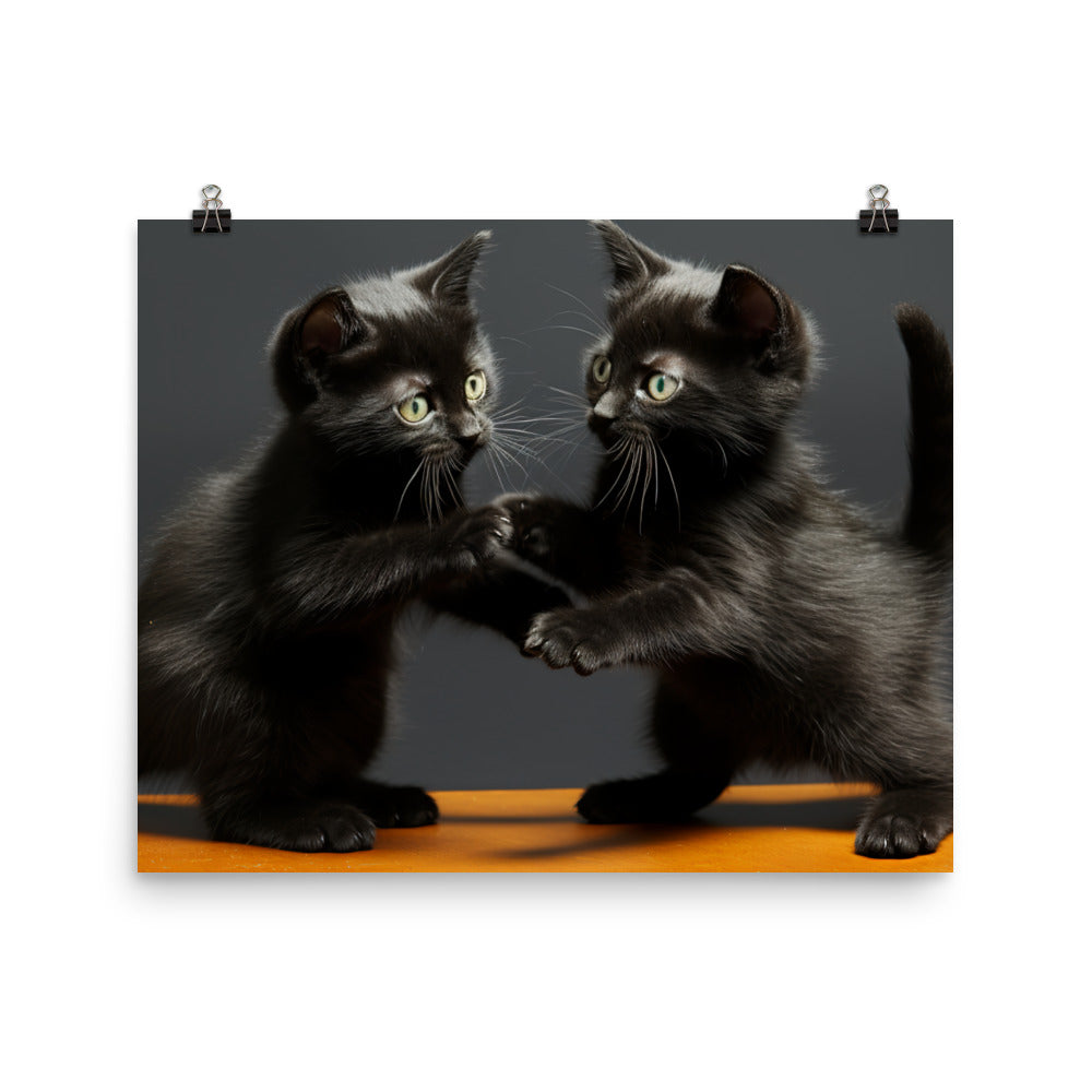 Bombay Photo paper poster - PosterfyAI.com