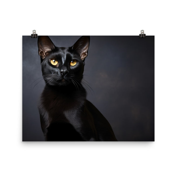 Bombay Photo paper poster - PosterfyAI.com