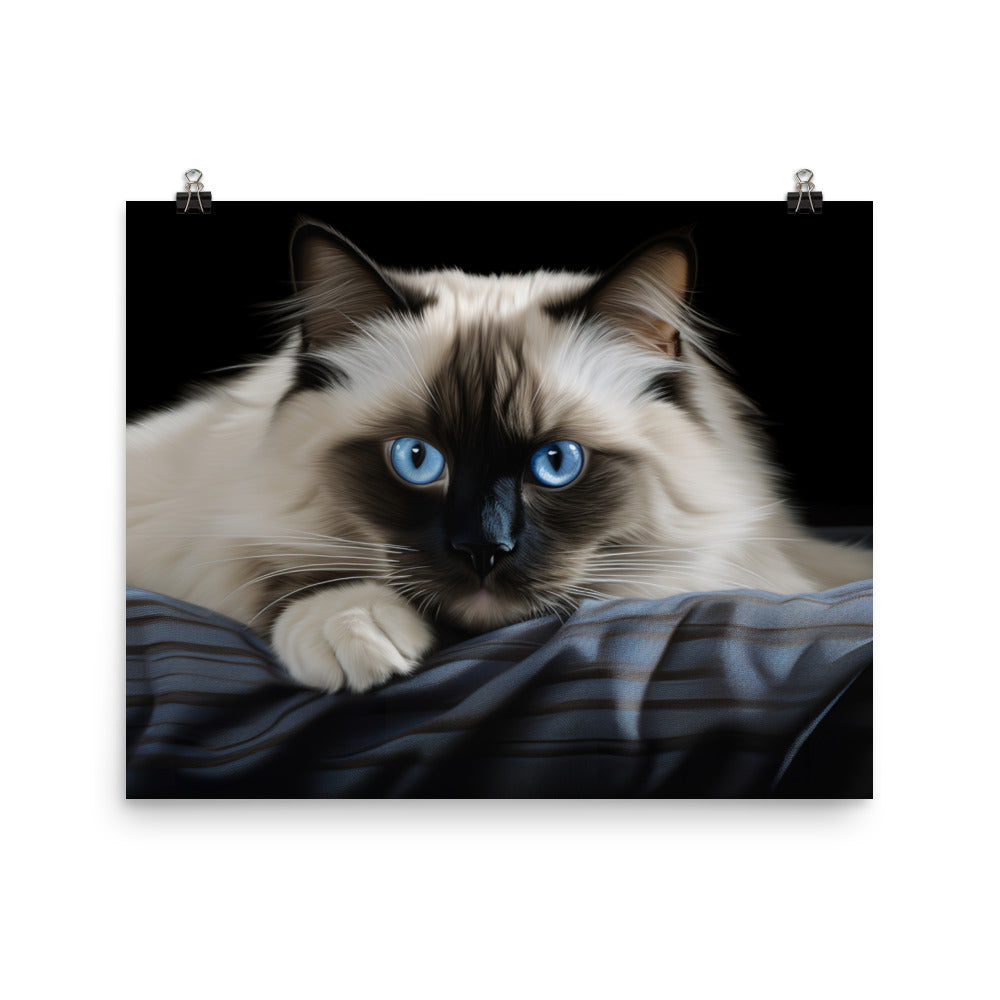 Birman Photo paper poster - PosterfyAI.com