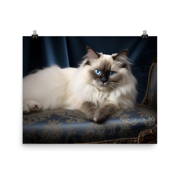 Birman Photo paper poster - PosterfyAI.com