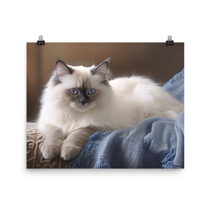 Birman Photo paper poster - PosterfyAI.com