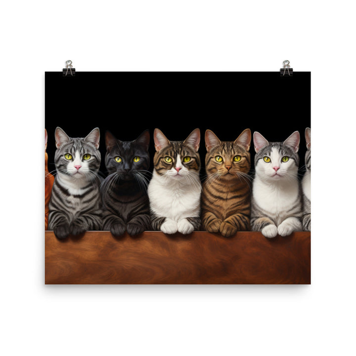 American Shorthair Photo paper poster - PosterfyAI.com