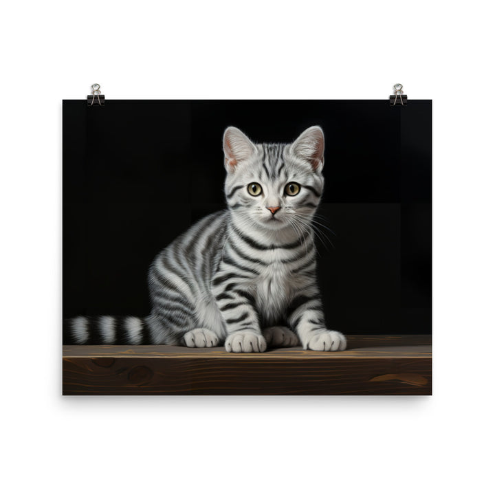 American Shorthair Photo paper poster - PosterfyAI.com