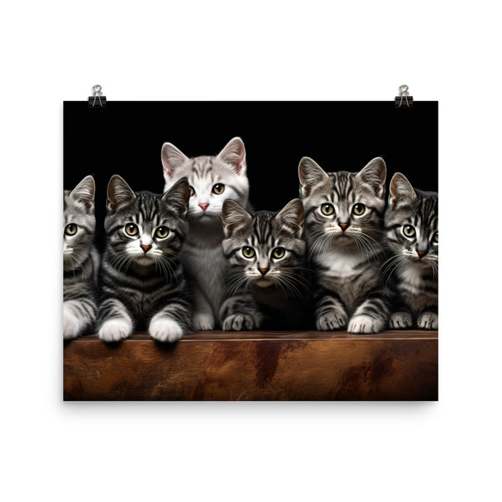 American Shorthair Photo paper poster - PosterfyAI.com