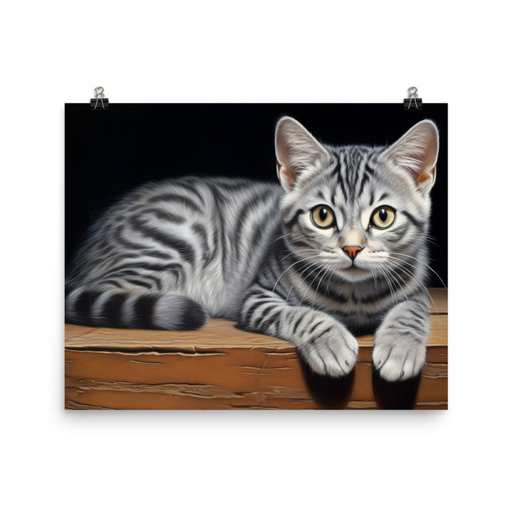 American Shorthair Photo paper poster - PosterfyAI.com