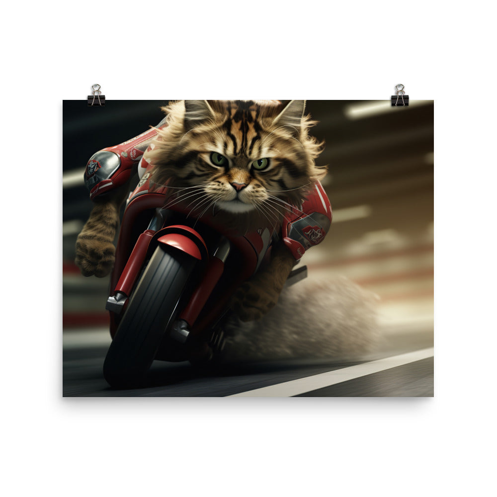 Maine Coon Superbike Athlete Photo paper poster - PosterfyAI.com