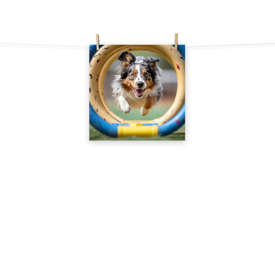 Australian Shepherd Photo paper poster - PosterfyAI.com