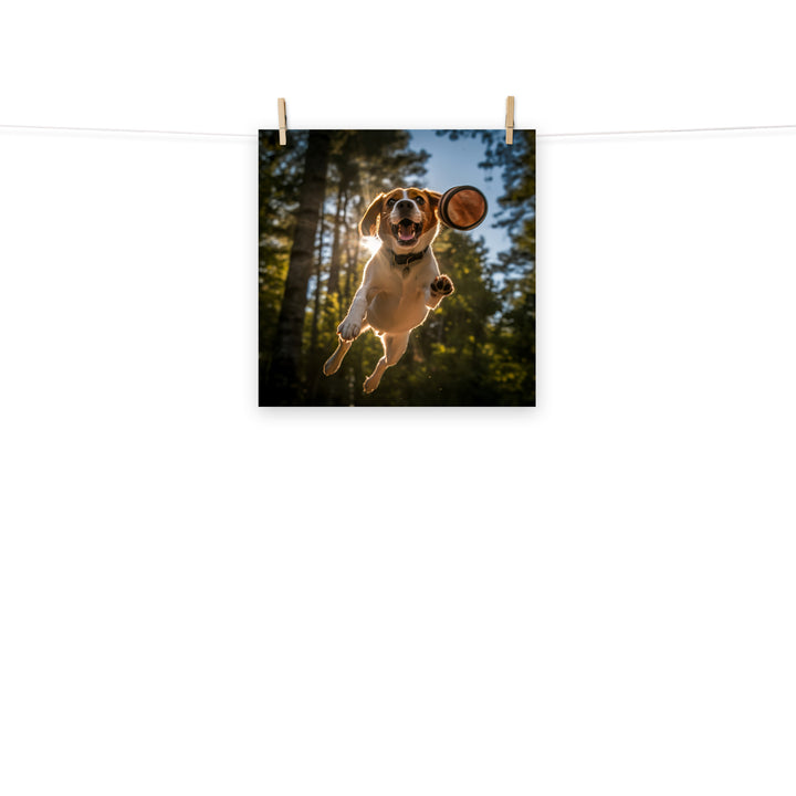 Beagle Photo paper poster - PosterfyAI.com